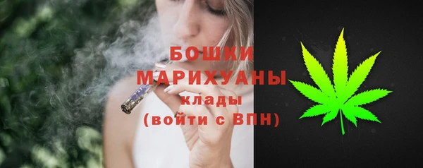 дживик Беломорск