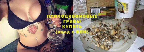 спайс Белокуриха