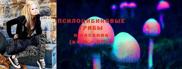 дживик Беломорск