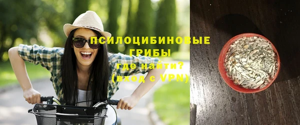 спайс Белокуриха